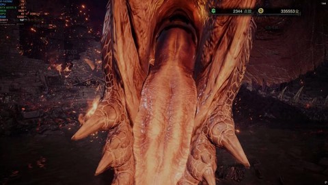 怪物猎人4g黑龙怎么打[图2]