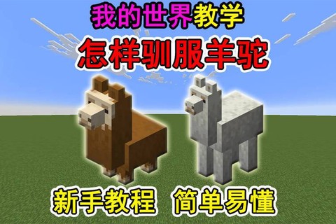 我的世界骑羊驼用什么[图1]
