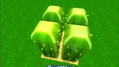 迷你世界仙人掌怎么种[图2]